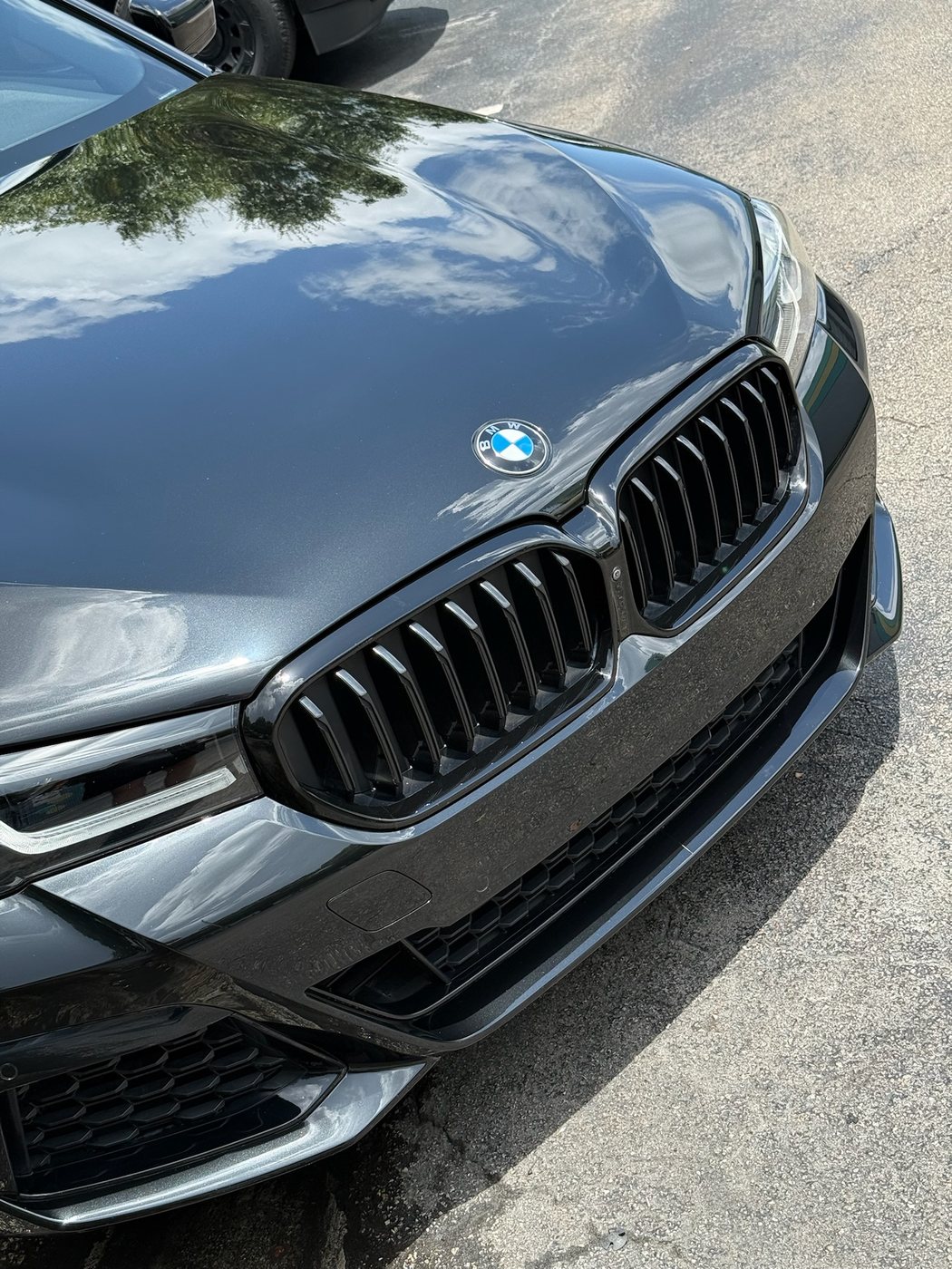 BMW 5 Series - Black protected at Elite Premium Detailing