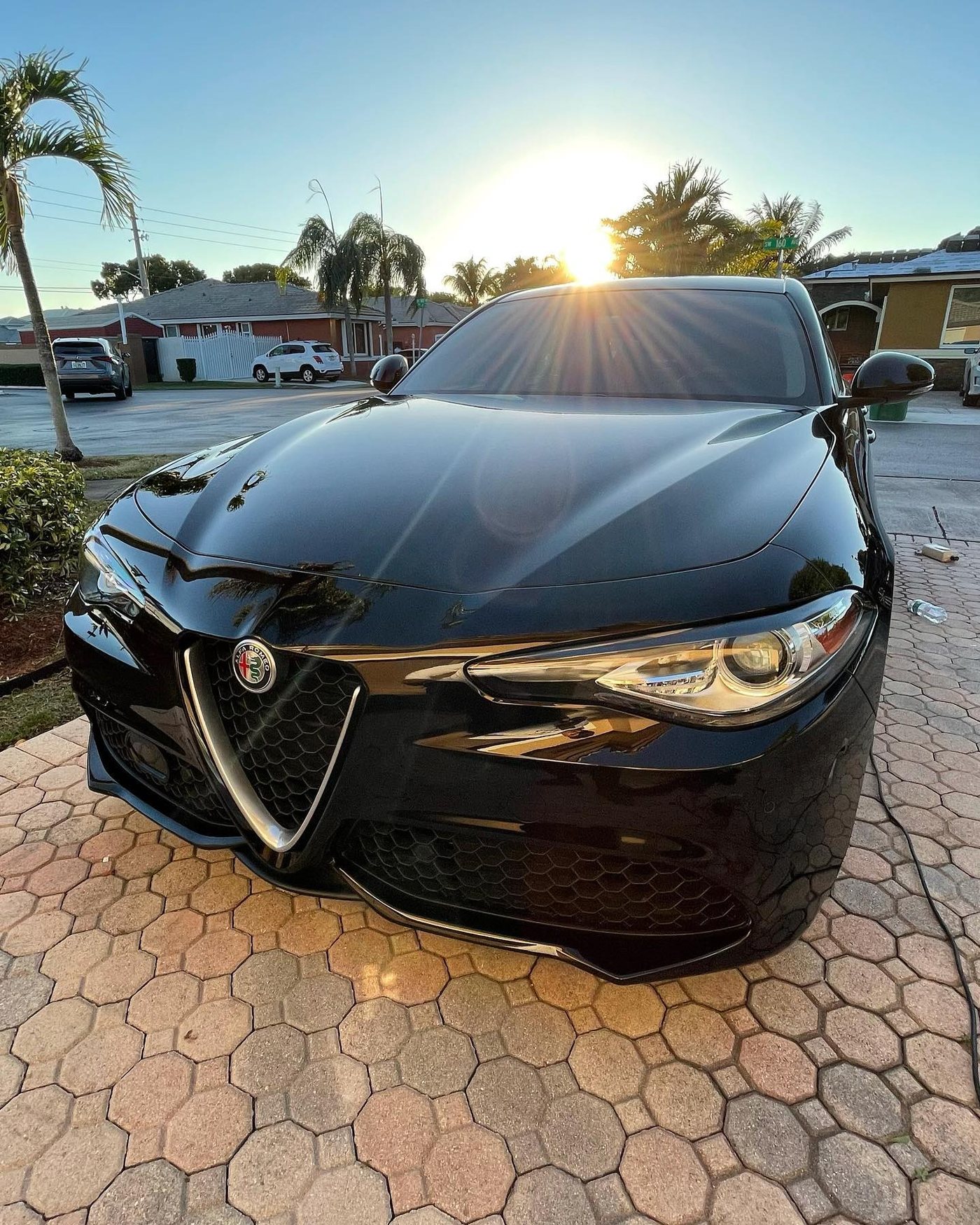 Alfa Romeo Giulia - Black protected at Elite Premium Detailing