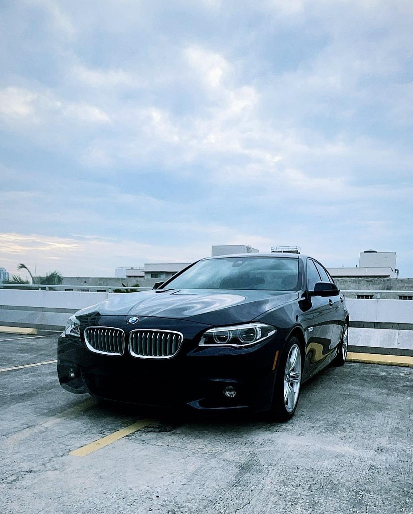 BMW 540i - Black protected at Elite Premium Detailing