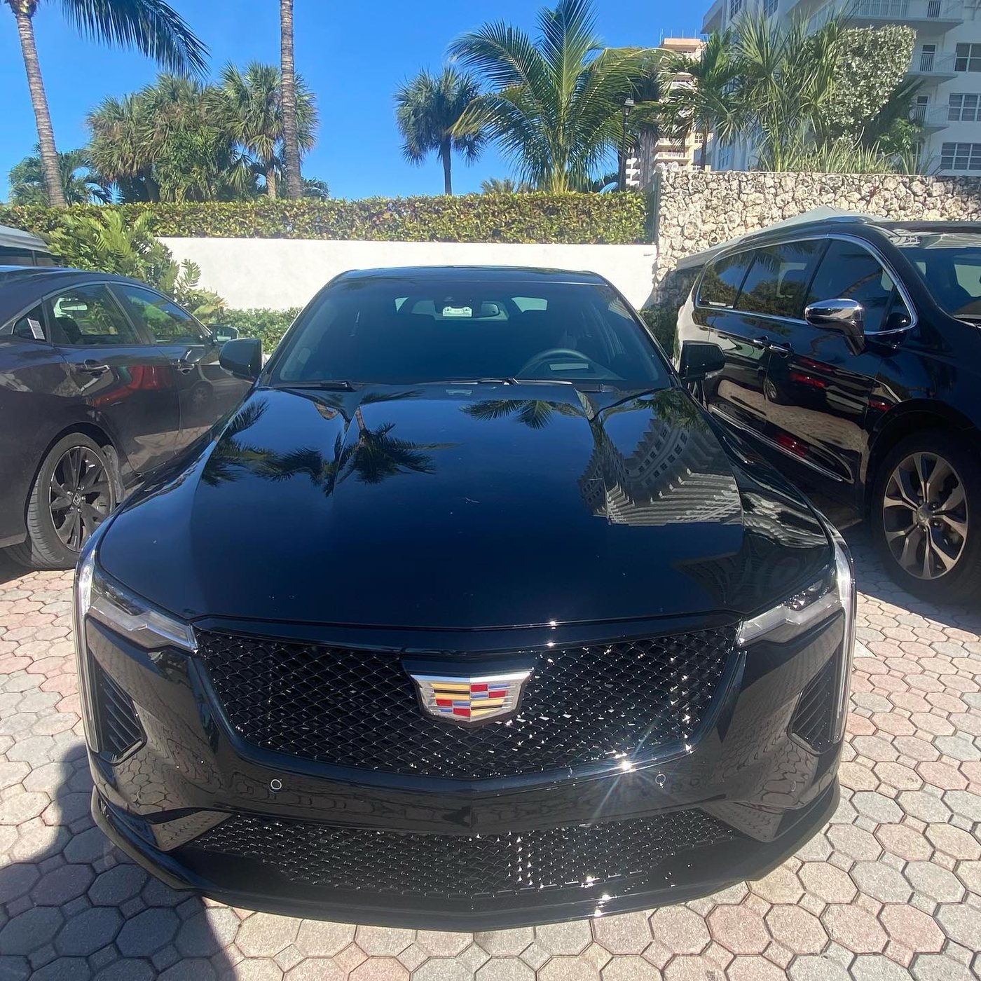 Cadillac CT5 - Black protected at Elite Premium Detailing