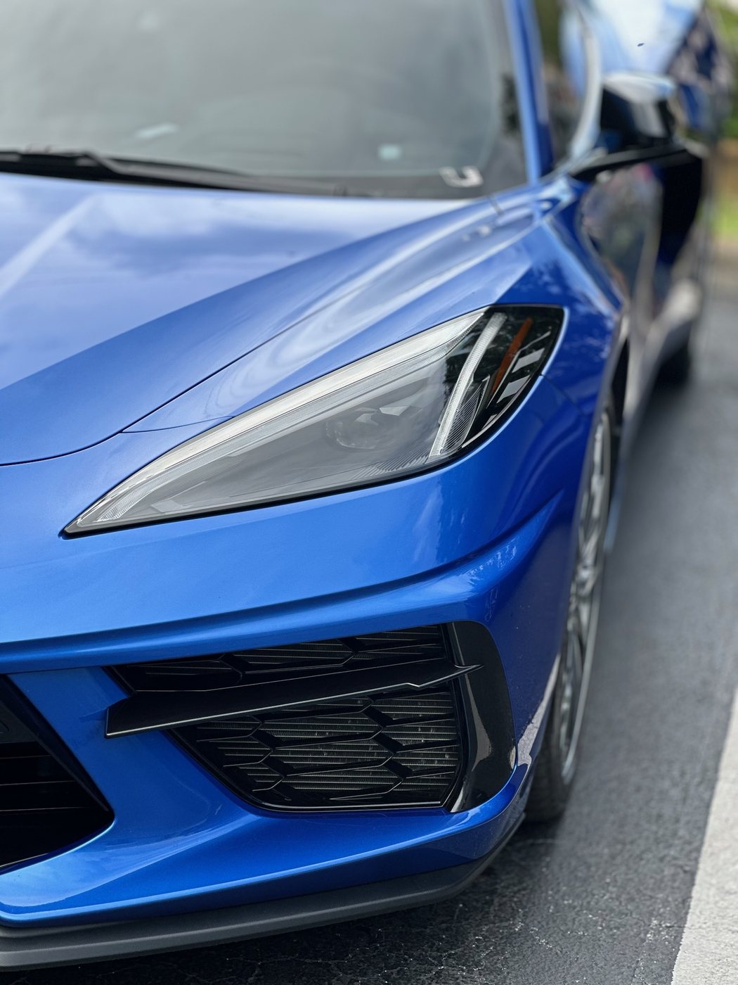 Chevrolet Corvette C8 - Blue protected at Elite Premium Detailing