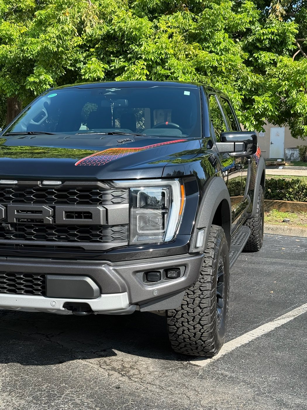 Ford F-150 Raptor - Black protected at Elite Premium Detailing