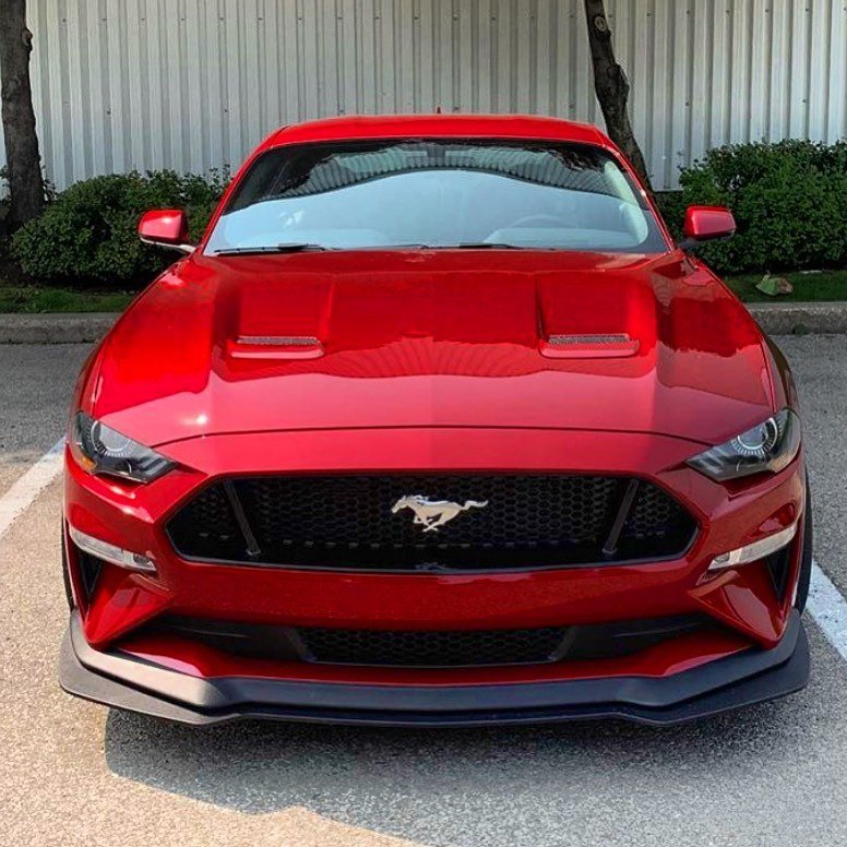 Ford Mustang GT - Red protected at Elite Premium Detailing
