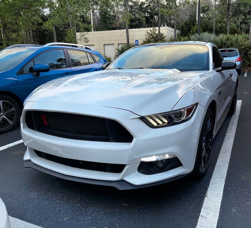Ford Mustang GT - White protected at Elite Premium Detailing