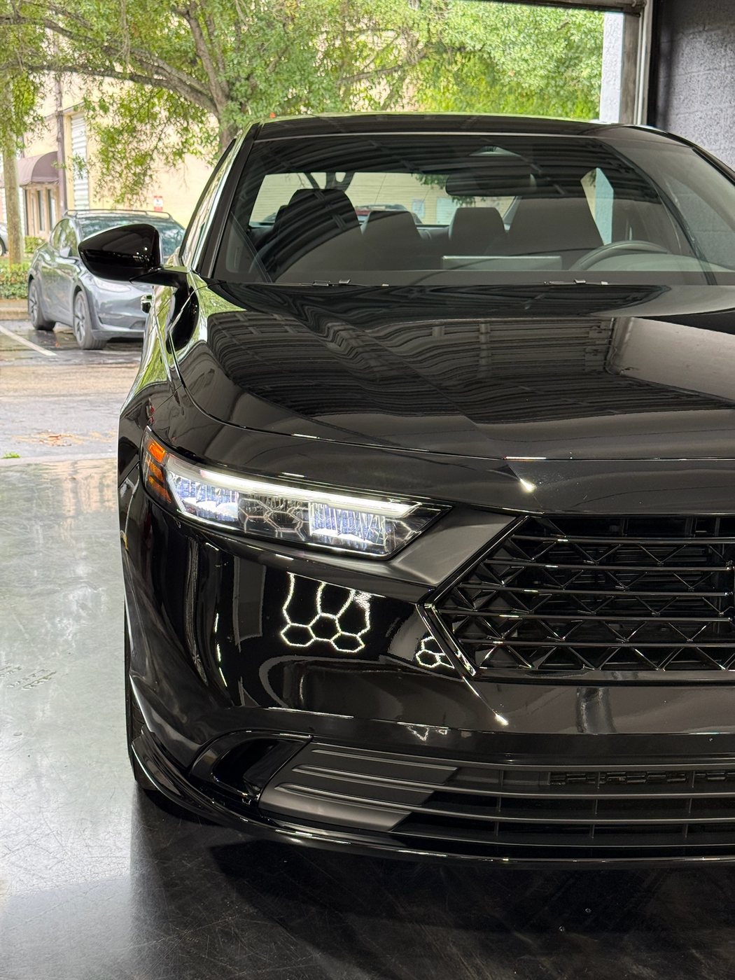 Honda Accord - Black protected at Elite Premium Detailing