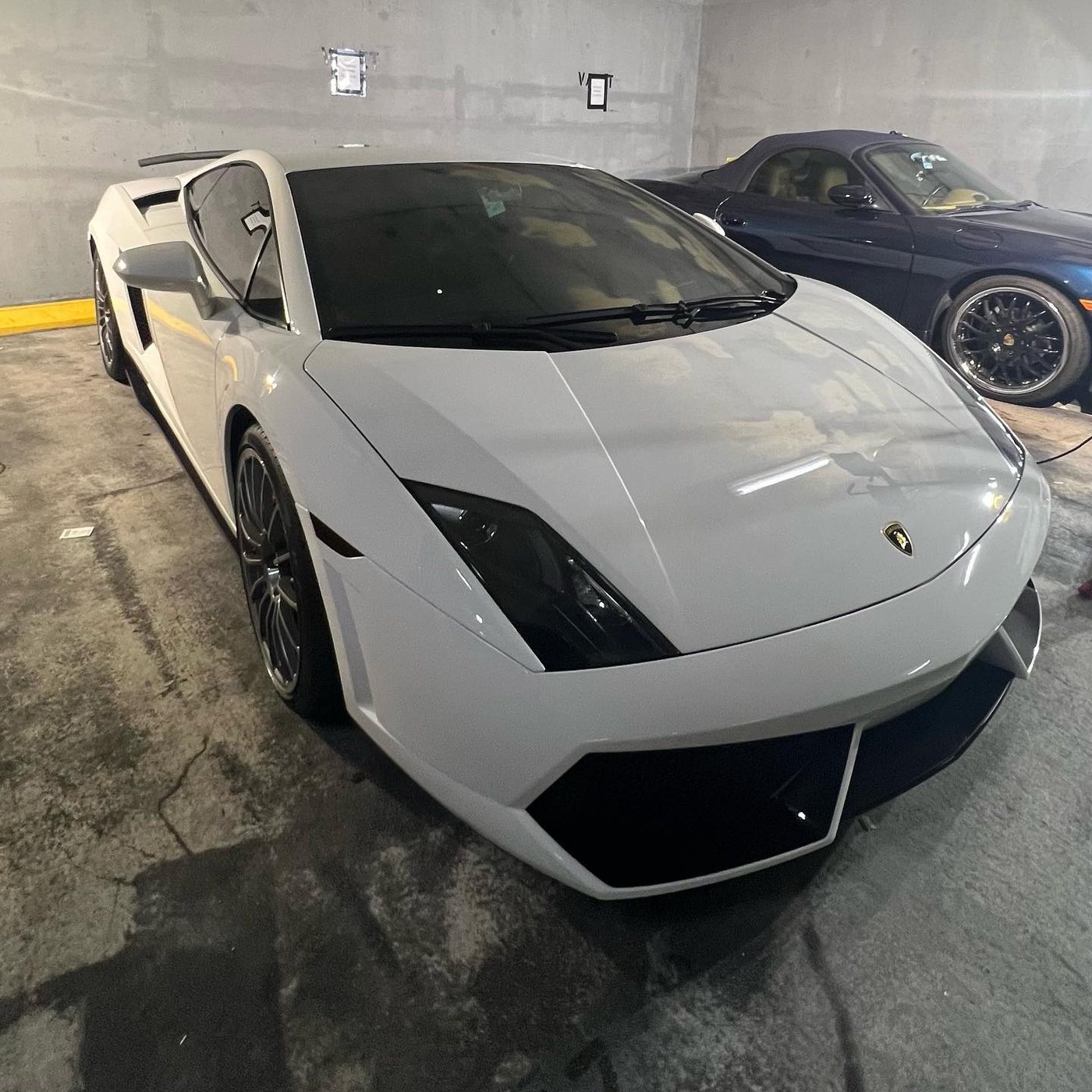 Lamborghini Gallardo - White protected at Elite Premium Detailing