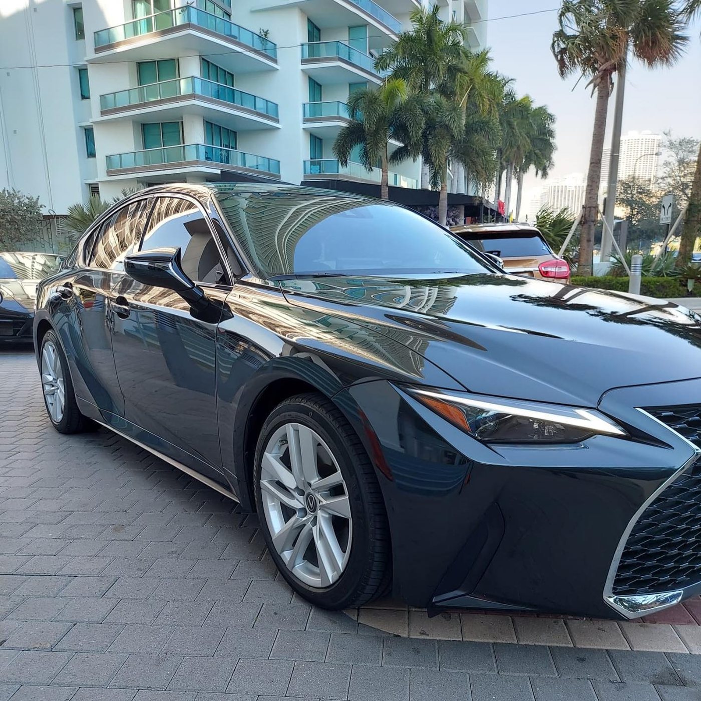 Lexus IS - Black protected at Elite Premium Detailing