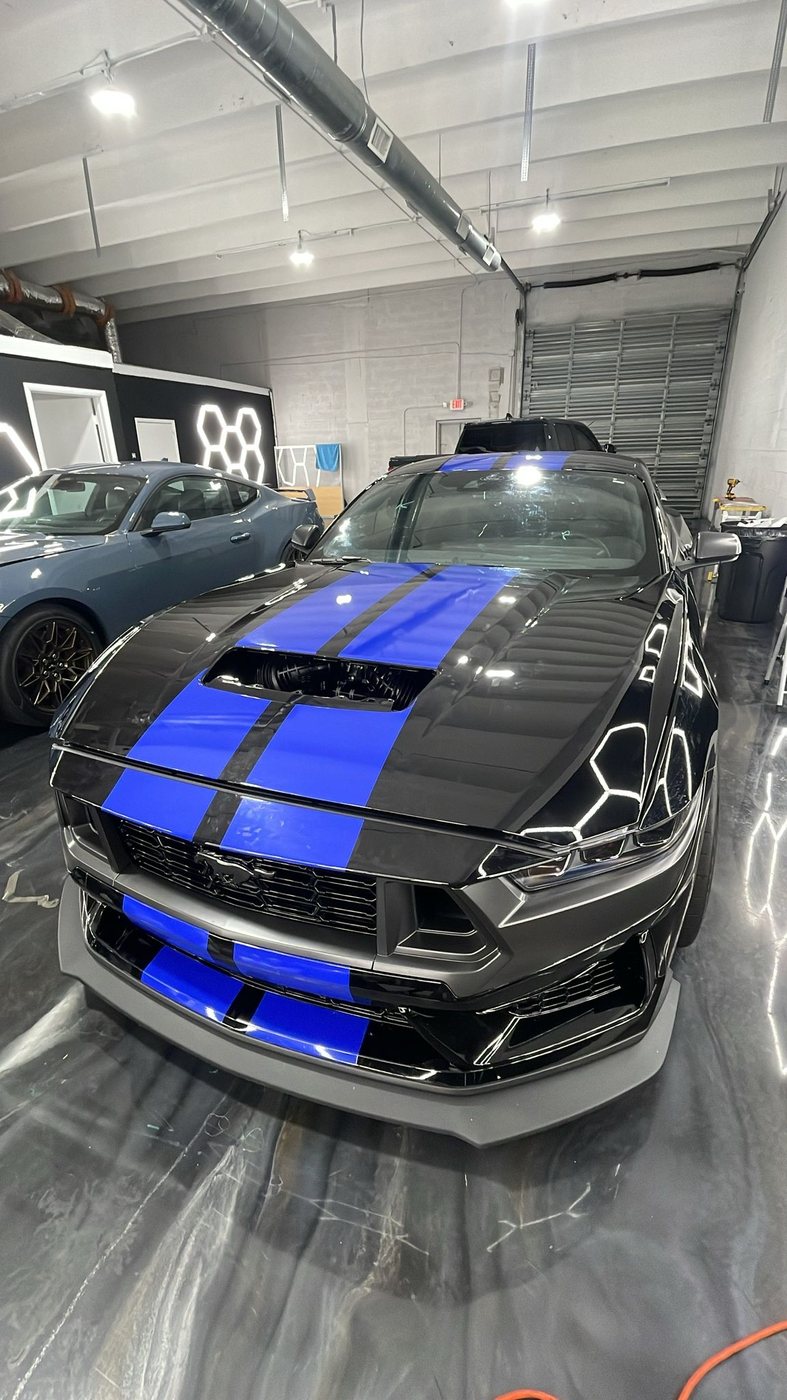 Ford Mustang GT - Black with Blue Stripes protected at Elite Premium Detailing