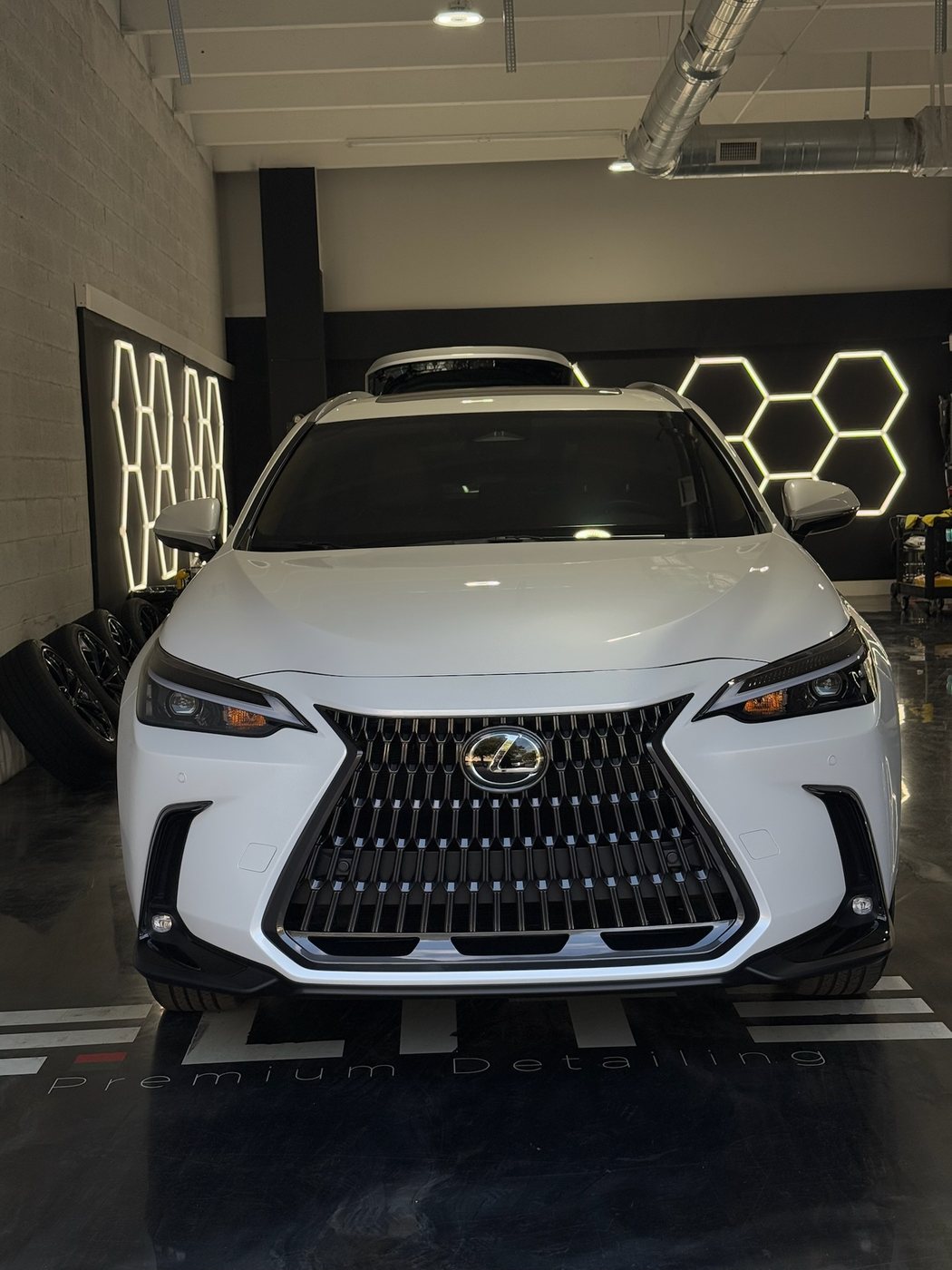 Lexus NX - White protected at Elite Premium Detailing