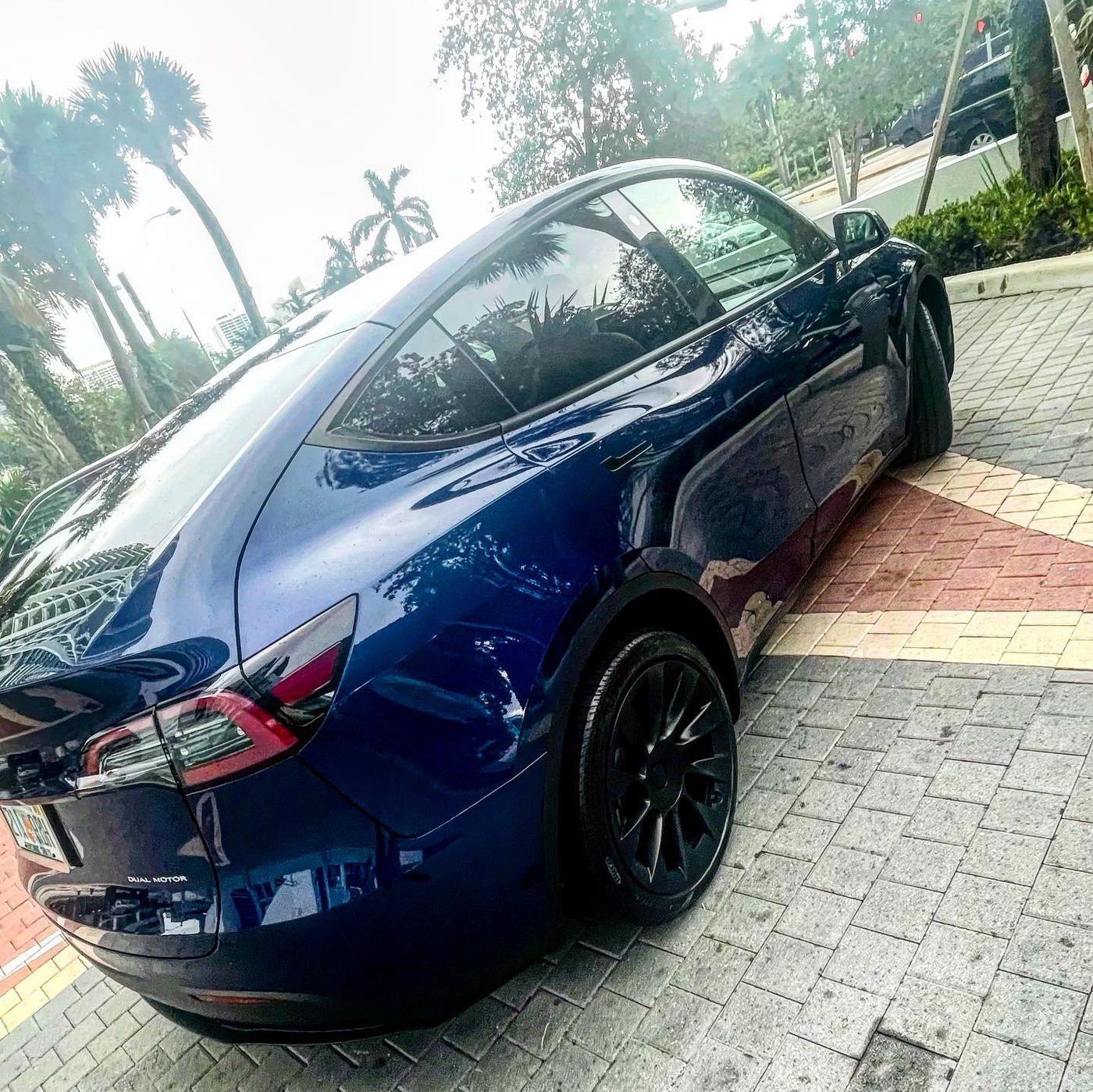 Tesla Model Y, dark blue, rear