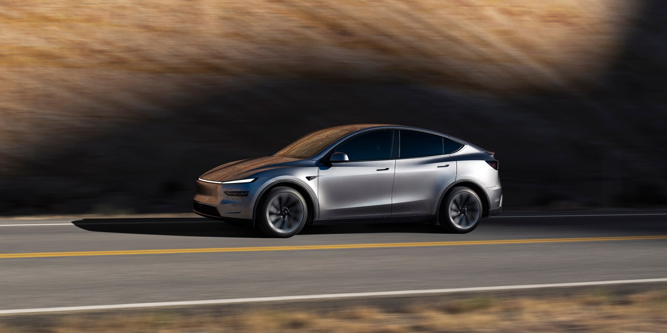 Model Y