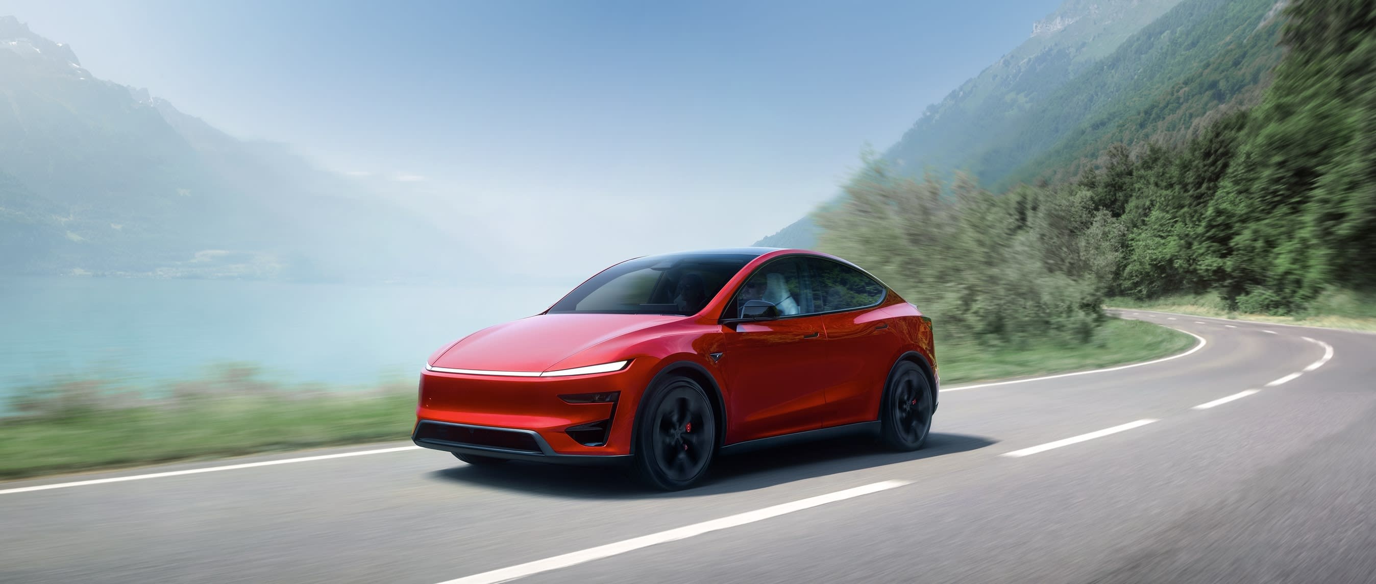 Model Y